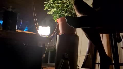 watershed111111 online show from 01-12-26, 09:03