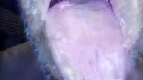 Snapshot of wayne1311 chatting on 03-01-26, 07:21 wayne1311 online show from 03-01-26, 07:21