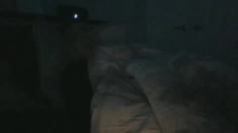 Snapshot of weatheredvoid chatting on 01-31-25, 03:55 WeatheredVoid online show from 01-31-25, 03:55