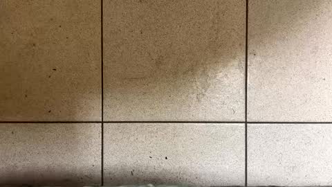 webchatter99 online show from 01-02-25, 07:33