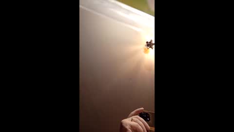 webiran online show from 03-02-26, 04:58