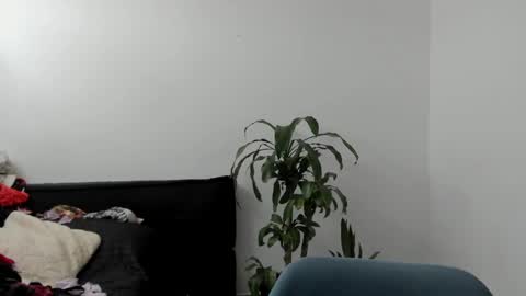 tatty online show from 09-17-25, 04:08