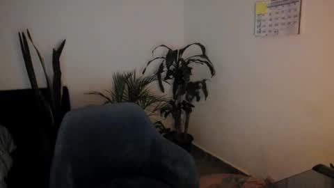 tatty online show from 09-26-25, 11:09
