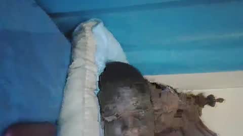 wetcock44 online show from 12-03-24, 03:41