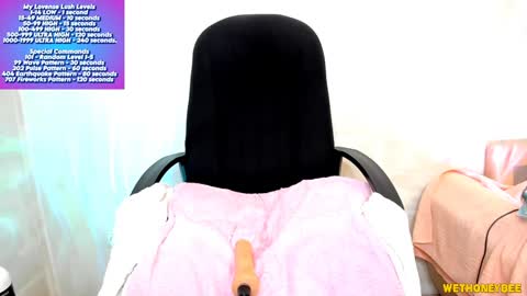 Snapshot of wethoneybee chatting on 02-05-25, 01:47 Mina online show from 02-05-25, 01:47