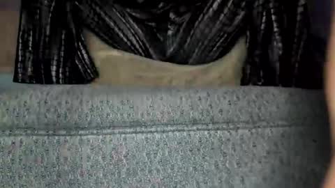 weweeworld online show from 02-19-26, 08:21