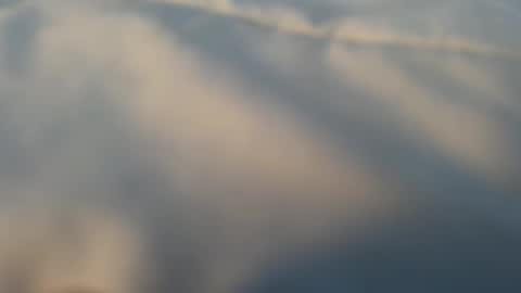 whatever_i_have_to_do online show from 03-13-26, 05:08