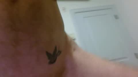 Snapshot of whisky_jam chatting on 11-28-25, 12:57 whisky_jam online show from 11-28-25, 12:57