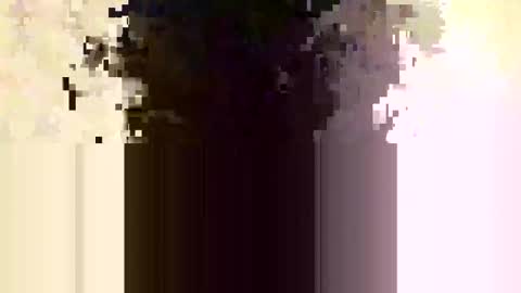 Snapshot of whitedood432 chatting on 11-28-25, 12:19 whitedood432 online show from 11-28-25, 12:19