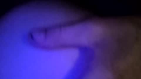 whodunnitwrangler online show from 02-08-26, 05:55