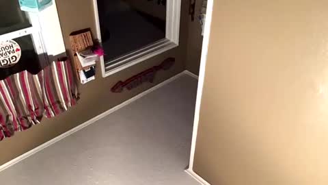 Snapshot of whynottoday33 chatting on 10-27-25, 11:25 whynottoday33 online show from 10-27-25, 11:25