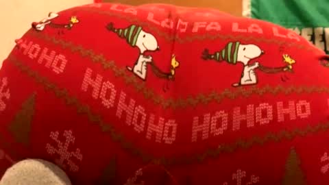 whyou12 online show from 11-21-25, 09:57