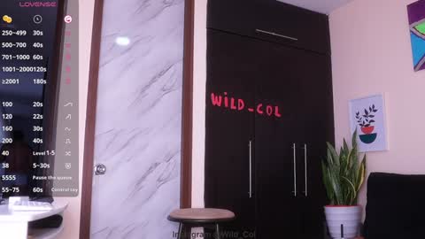 wild_col online show from 12-17-24, 12:33