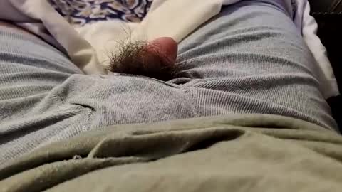 Wild-at-heart online show from 12-22-24, 02:49