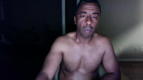 wildnight007 online show from 12-26-24, 08:07