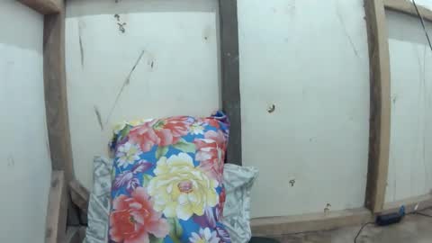 wildpoohkhaye online show from 04-02-26, 10:35