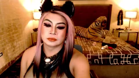 wildtransjhade online show from 01-16-25, 12:53