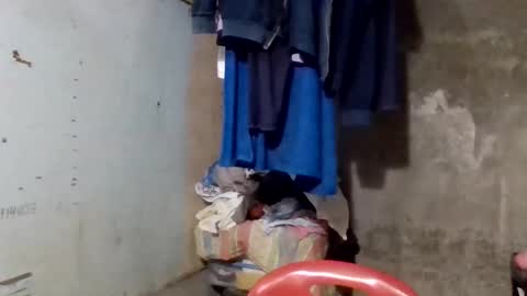 Snapshot of wildveron_205 chatting on 12-17-25, 12:33 wildveron_205 online show from 12-17-25, 12:33