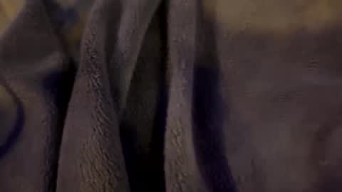 wiley0520 online show from 01-15-26, 09:03