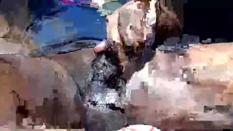 willianel online show from 12-13-25, 11:43