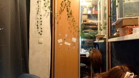 Snapshot of willodeanheitner chatting on 02-11-26, 08:47 Phoebe online show from 02-11-26, 08:47