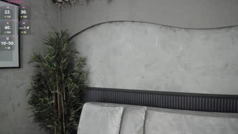 Ms Willow online show from 12-12-24, 12:01