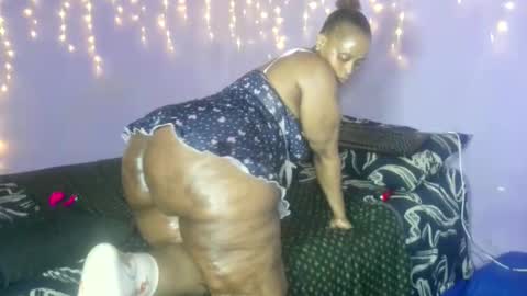 wilmaassylum online show from 10-02-25, 07:48