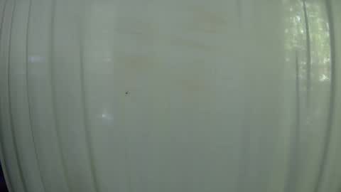 Mater online show from 10-07-25, 07:55