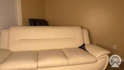 WoahJac3 online show from 02-27-25, 09:22