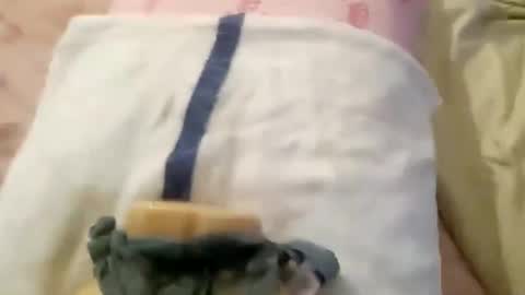 wood6957 online show from 11-01-25, 12:29