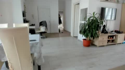 Wolfie online show from 11-25-25, 08:47