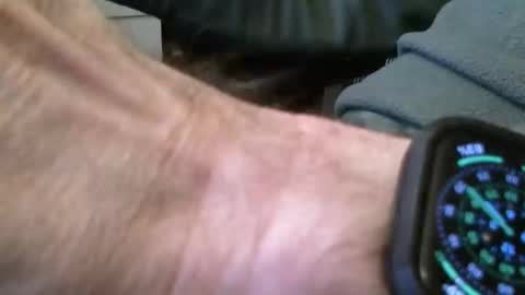 Snapshot of wrangleat0r chatting on 11-16-25, 09:20 wrangleat0r online show from 11-16-25, 09:20