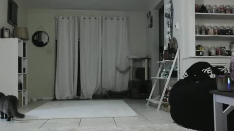 Crystal Lake online show from 01-03-25, 05:28