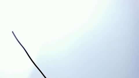 wyatt online show from 12-20-25, 03:13