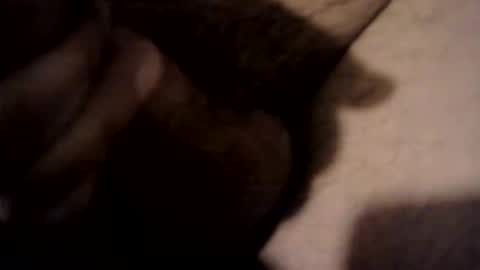 xdreamer online show from 03-17-26, 10:24