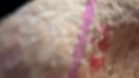 Snapshot of xodanii chatting on 11-23-25, 02:55 dani3 online show from 11-23-25, 02:55