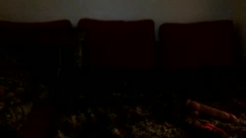 Snapshot of xoviolettt chatting on 02-16-25, 06:43 3 online show from 02-16-25, 06:43