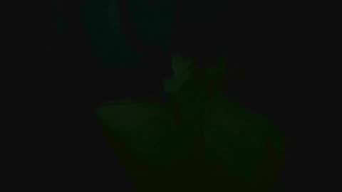 Snapshot of xposed_edger chatting on 03-02-25, 05:33 xposed_edger online show from 03-02-25, 05:33