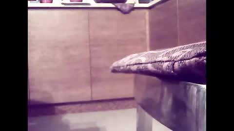 xsoul72 online show from 02-26-25, 04:56