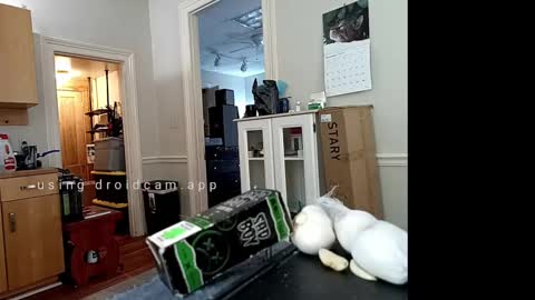 Snapshot of xstay_coldx chatting on 02-10-25, 06:24 Johnny online show from 02-10-25, 06:24