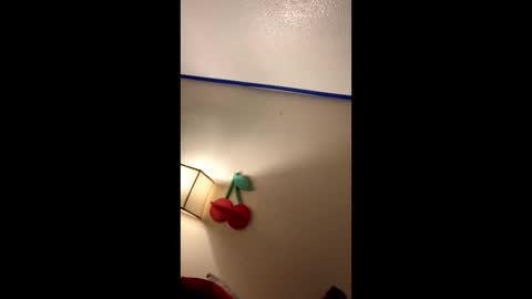 xtika online show from 01-19-25, 08:18