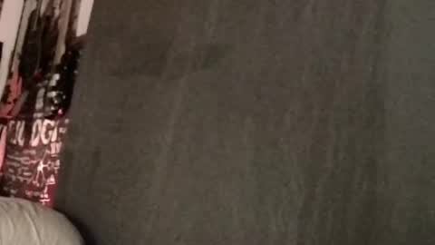 Snapshot of xxwhitefoxx chatting on 03-11-25, 08:41 David Fox online show from 03-11-25, 08:41