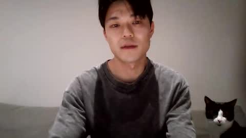 Cocktail online show from 10-04-25, 04:49