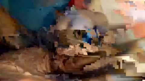 Snapshot of xxxdarknagician81 chatting on 09-21-25, 03:13 xxxdarknagician81 online show from 09-21-25, 03:13