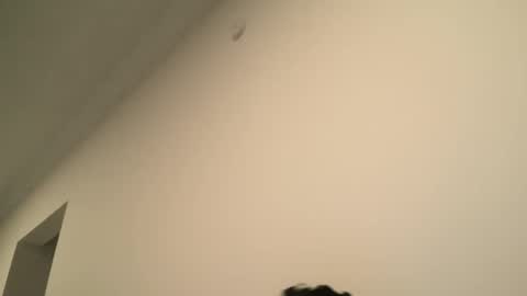 Snapshot of yacout87 chatting on 02-15-25, 06:55 Dick Ass online show from 02-15-25, 06:55