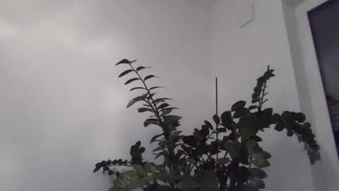 Snapshot of yakijoe chatting on 10-22-25, 10:09 yakijoe online show from 10-22-25, 10:09