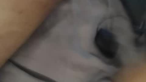 Snapshot of yallayalla1806 chatting on 11-18-25, 02:17 yallayalla1806 online show from 11-18-25, 02:17