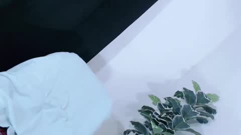 yams_kitty69 online show from 11-20-25, 08:08