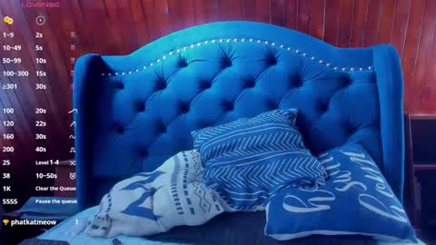 yan_nyan online show from 12-15-25, 08:13