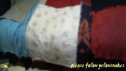 .     y e l l o w s n a k e s       . online show from 11-07-25, 02:28